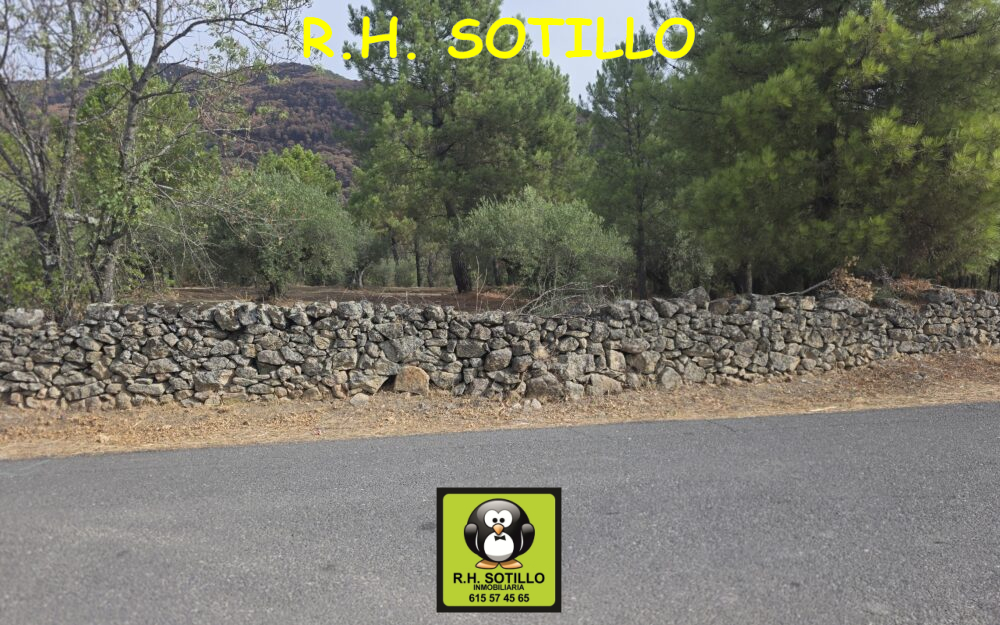 Sotillo Vendemos Parcela  Urbanizable de 4.668  Metros  en Camino de las Cerquillas